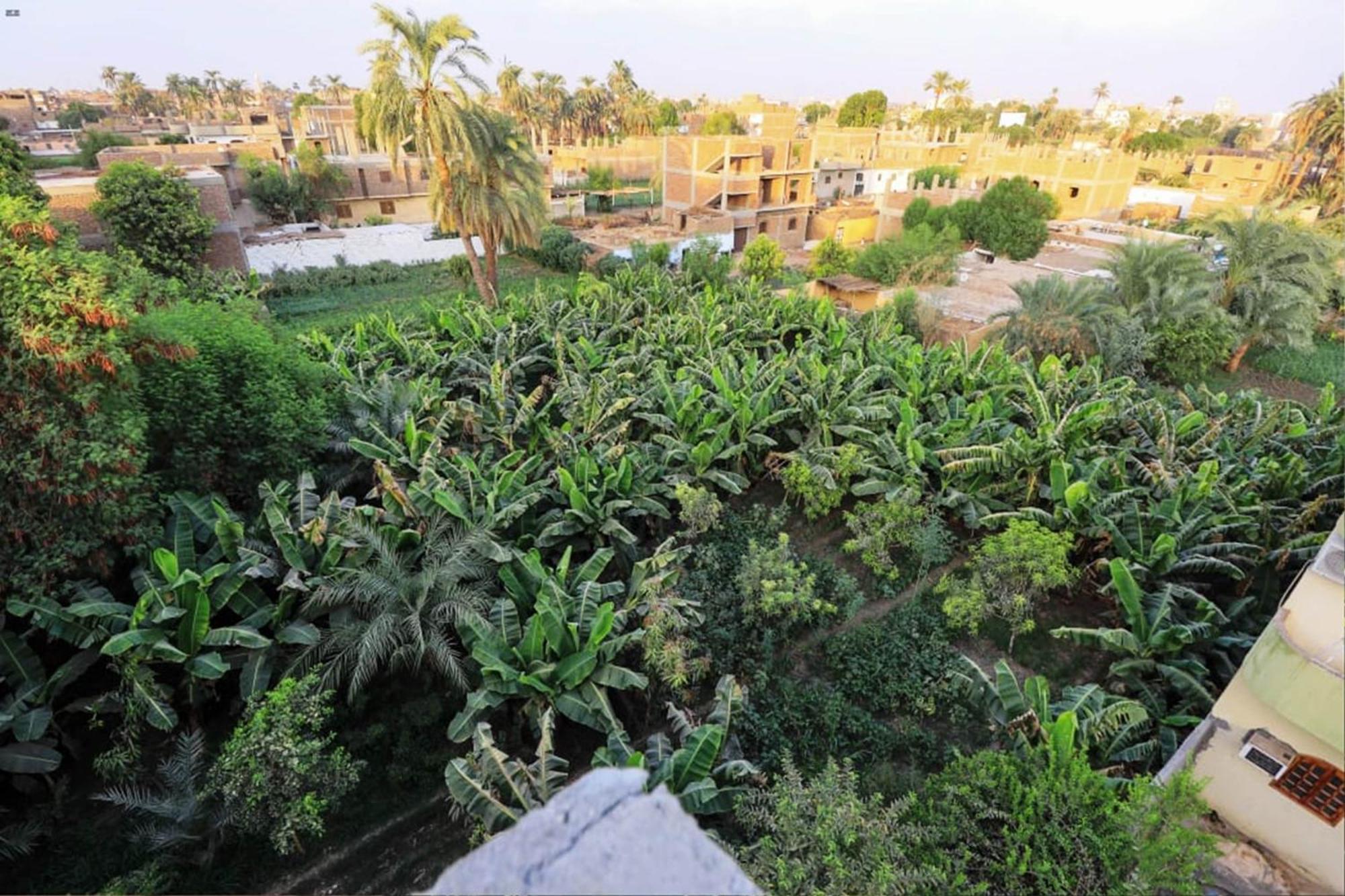 Luxor View Hostel Exteriér fotografie